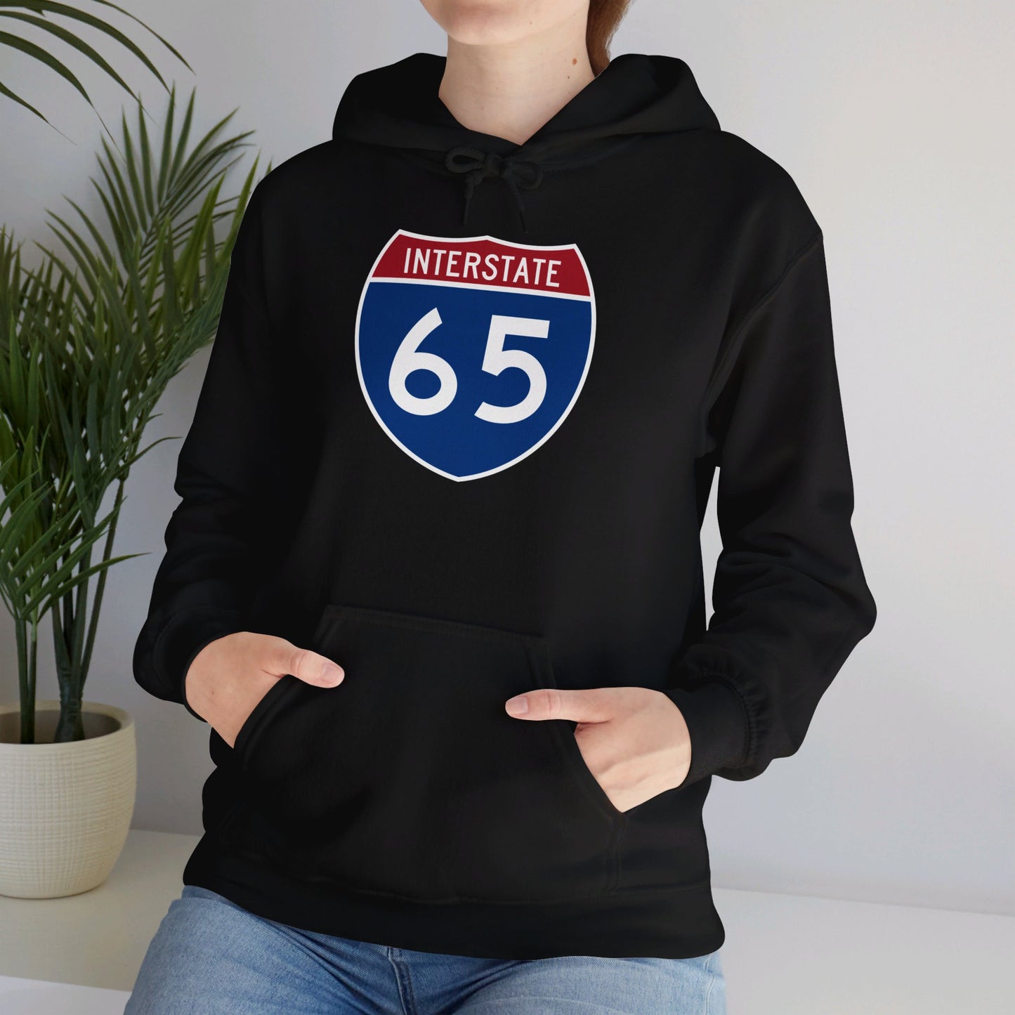 Hooded Sweatshirt - Interstate 65 North or South